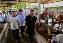 Gubernur Gencarkan Layanan Kesehatan Hewan Keliling Cegah Penyakit Ternak
