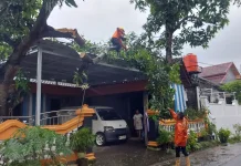 Waspada Angin Kencang Warnai Masa Pancaroba Wonogiri