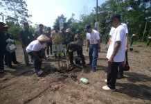 Desa Bengking Jatinom Klaten Dapat Bantuan CSR Ribuan Bibit Buah