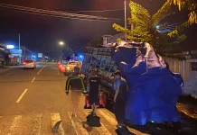 Diduga Sopir Ngantuk, Truk Daun Jeruk Tabrak Pohon di Wonogiri