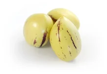 Sekeluarga dengan Terong, inilah Manfaat Buah Pepino