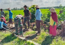 Semangat Kartini Bu Suliyem Warnai TMMD Sragen