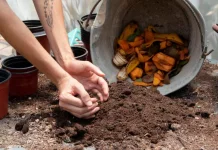 Mengolah Limbah Dapur Jadi Kompos