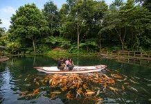 Manfaat Berwisata ke Alam untuk Anak Balita