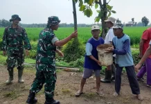 Kakek Sutarno Jadi Penyemangat Satgas TMMD di Sragen
