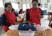 Hari Posyandu Nasional, Transformasi Layanan dari Desa ke Posyandu Plus