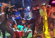 Remaja Kemudikan Pick-Up, Tabrakan Terjadi di Purwantoro