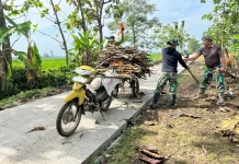 Potret Kemanunggalan, Praka Dian dan Kopda Sutrisno Bantu Warga Desa Puro