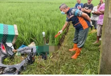 Kronologi Petani di Sragen Tewas Tersengat Jebakan Tikus, Bermula Jatuh dari Motor