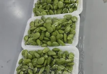Berburu Petai Demi Sebuah Rasa
