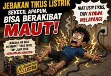 Larangan Jebakan Tikus Listrik usai Petani Tewas