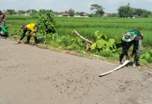 Unik! Roskam Kayu "Raksasa" Jadi Andalan Satgas TMMD Reguler Sragen di Desa Puro