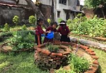 SD Kanisius Pucangsawit Terapkan Pembelajaran Holistik Berbasis Kebun