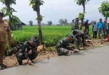 Jalan Mulus, Mbah Darji Petani Padi Hemat Biaya