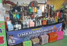 UMKM Naik Kelas Terkendala Pendampingan dan Kesenjangan Usaha