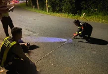 Tabrakan Maut Ngadirojo, Polisi Soroti Jalur Menikung