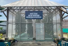 Warga Binaan Rutan Kelas IIB Boyolali Budidaya Melon di Green House
