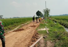 Sinergi tanpa Batas di Desa Puro, Jalan Belum Kelar, Lampu Sudah Berpijar