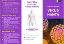 Mengenal Hantavirus, Virus dari Tikus yang Perlu Diwaspadai