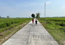 Wajah Baru Persawahan Desa Puro, Tak Ada Lagi Lumpur, Jalan Jadi Mulus
