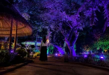 Safari Vibes Hadirkan Wisata Malam Estetik Di Solo