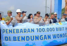 Seratus Ribu Bibit Ikan Ditebar di Waduk Gajah Mungkur