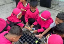Tim RisetMu UMS Edukasi Ketahanan Pangan "Petani Cilik" lewat AgroSchooling