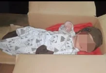 Geger Penemuan Bayi Perempuan dalam Kardus di Sidoharjo Sragen, Polisi Buru Pelaku