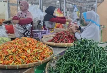 Jelang Iduladha, Harga Cabai dan Bumbu Dapur di Solo Merangkak Naik