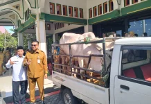 Pemkab Klaten Salurkan Bantuan Hewan Kurban, 9 Sapi dan 47 Kambing