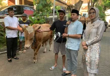 Wali Kota Solo Target Tahun Depan Pemkot Berkurban 12 Sapi