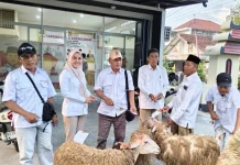 Gerindra Sragen Salurkan 21 Ekor Kambing Kurban dari Sudaryono ke Tingkat PAC