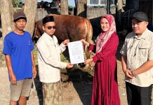 Presiden Salurkan Hewan Kurban Sapi kepada Madin Tasywiquth Thullab Sragen