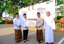 Kota Solo Terima Bantuan 50 Sapi Kurban dari Uni Emirat Arab