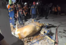 Akan Dikirim ke Solo Baru, Seekor Sapi Untuk Kurban Mati Tercebur Sumur
