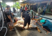 Semangat Gotong Royong Warga Ngemplak Boyolali Sembelih Hewan Kurban