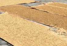 Harga Kulit Anjlok, Produsen Rambak di Sukoharjo Tetap Bertahan