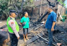 Gegara Bakar Sampah, Kandang Kambing Milik Warga Sragen Ludes Dilalap Api