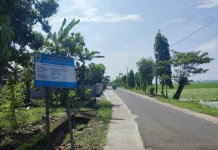 Lebarkan Jalan Tenggak-Sribit Akses ke Rumah Bahlil, DPU Sragen Gelontor Rp1,16M