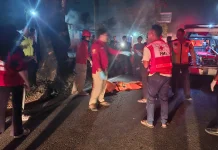 Seniman Asal Karanganyar Tewas Tabrak Pohon di Depan Gudang Bulog Masaran