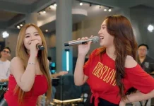 Terjemah Lirik Lagu Kari Cerito - Happy Asmara Ft Ajeng Febria