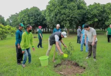 Hari Lingkungan Hidup Sedunia, Pemkab Klaten Tanam Ratusan Pohon