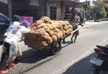 Simalakama, Dilema Cuan dan Limbah Industri Pati Aren Kecamatan Tulung