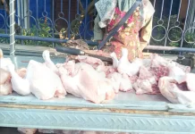 Harga Daging Ayam di Solo Anjlok hingga 30 Ribu Perkilo, Ini Penyebabnya