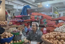 Harga Bawang Putih Impor Terkerek Naik, imbas Rupiah Melemah
