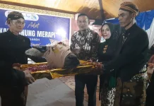 Filosofi Larung Kepala Kerbau dalam Tradisi Sedekah Gunung Merapi Warga Boyolali