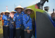 Rangkaian Hari Jadi 179 Boyolali, Pemkab Panen Raya Padi 250 Hektar