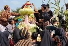 Meriahnya Warga Prawatan Klaten Berebut Gunungan Merti Desa Bumi Sangkara