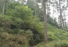 Kampung Siluman Kemalang Klaten Pesona Alam Lereng Merapi