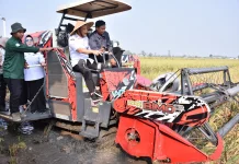 Target 10,5 Juta Ton Padi, Ahmad Luthfi Siapkan Jateng Hadapi Kemarau Panjang